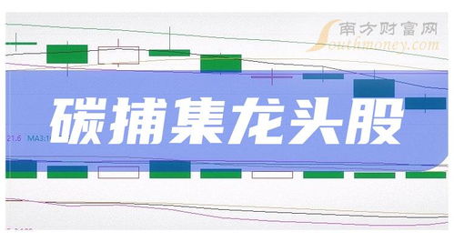 碳捕集技術崛起與輸電業(yè)務的緊密協(xié)同 三大龍頭股的投資視角
