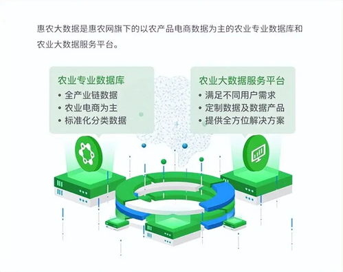 惠農網 數字化產業服務十年助農路，從追趕到超越的數字內容賦能之旅